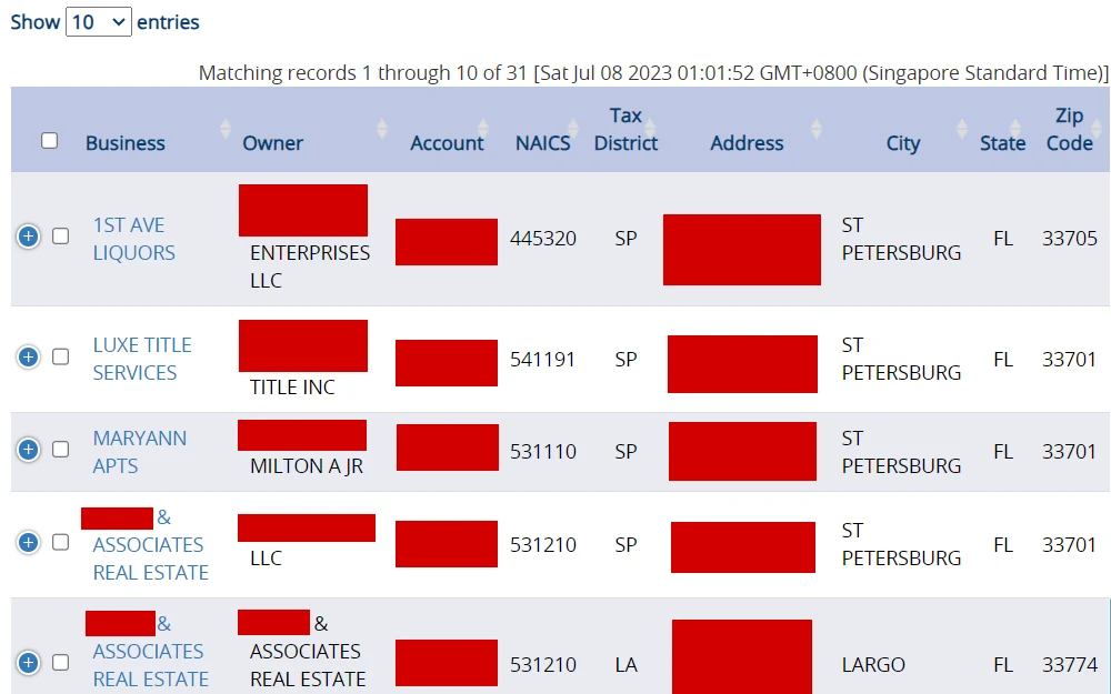 A screenshot from Mike Twitty, MAI, CFA Pinellas County Property Appraiser page showing the organized data in a table, with business name, owner, account, NAICS, Tax District, address, city, state, and Zip Code, with an option to view the number of data entries; click on the business name to access more details.
