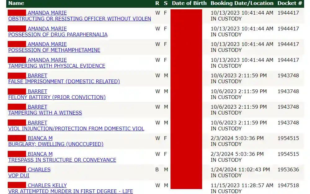 A screenshot of the search results from Pinellas County Sheriff's Office arrest inquiry, listing the arrestees' information including their name, sex, race, birthday, booking date and time, location, and docket number.