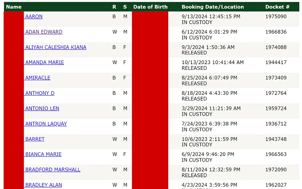 A screenshot of the arrest inquiry search results shows the list of names, race, sex, date of birth, booking date, location and docket number from the Pinellas County Sheriff's Office website.