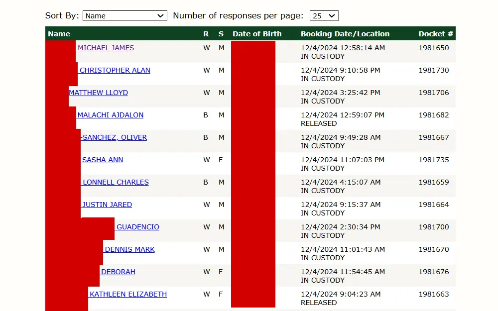 A screenshot of the arrest inquiry search results shows the list of names, race, sex, date of birth, booking date, location and docket number from the Pinellas County Sheriff's Office website.